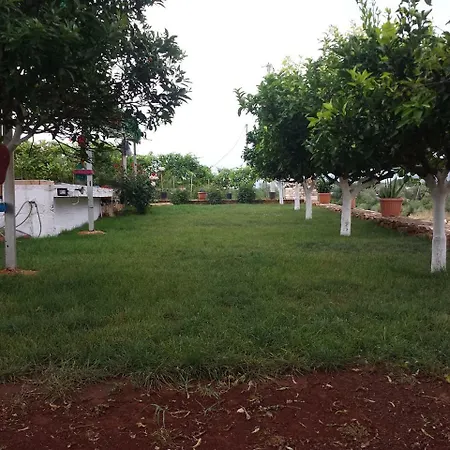 بيت ضيافة Panorama