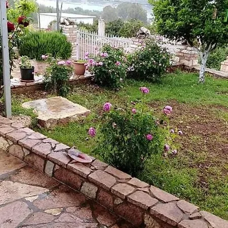 Panorama בית הארחה