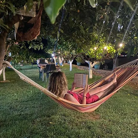 Panorama 3* קסאמיל