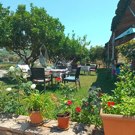 Panorama בית הארחה קסאמיל